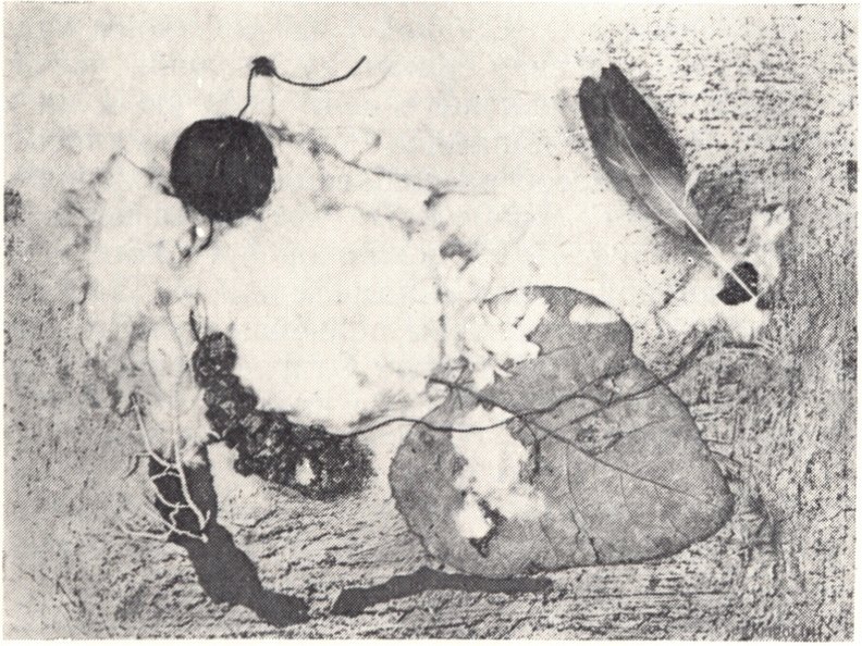 18. Энрико Прамполини. Полиматериальный автоматизм. Ок. 1940 18. Энрико Прамполини. Полиматериальный автоматизм. Ок. 1940