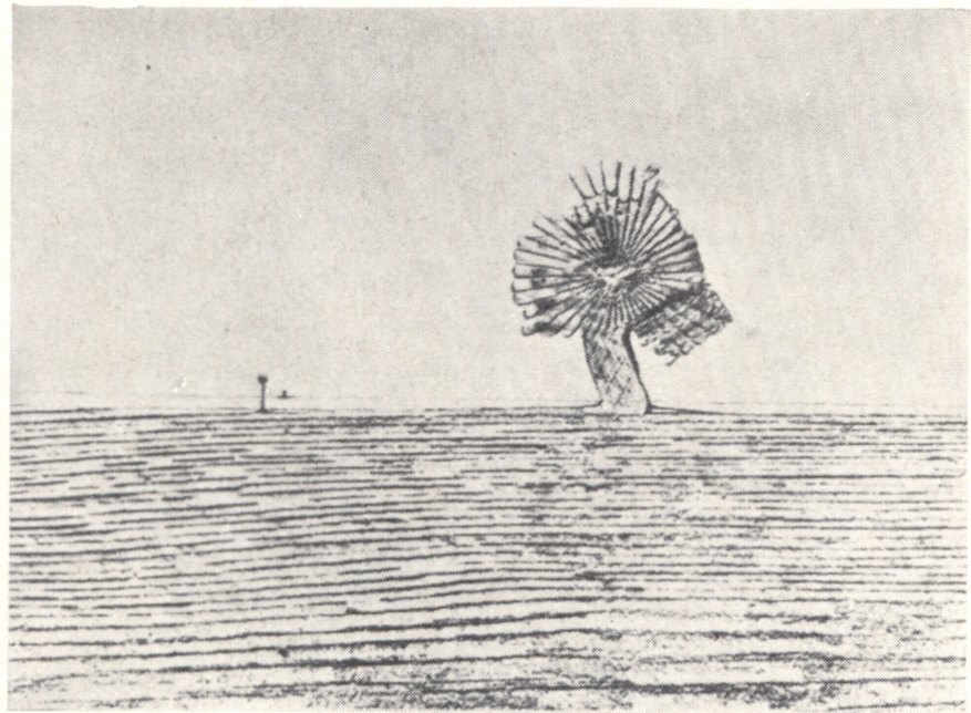 49. Макс Эрнст. Пампасы. Из серии «Естественная история». 1926 49. Макс Эрнст. Пампасы. Из серии «Естественная история». 1926