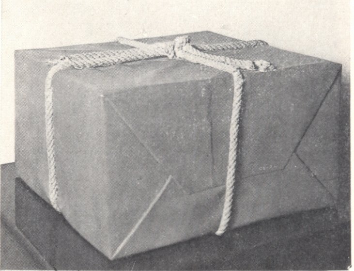 86. Клаудио Браво. Синий пакет. 1976 86. Клаудио Браво. Синий пакет. 1976