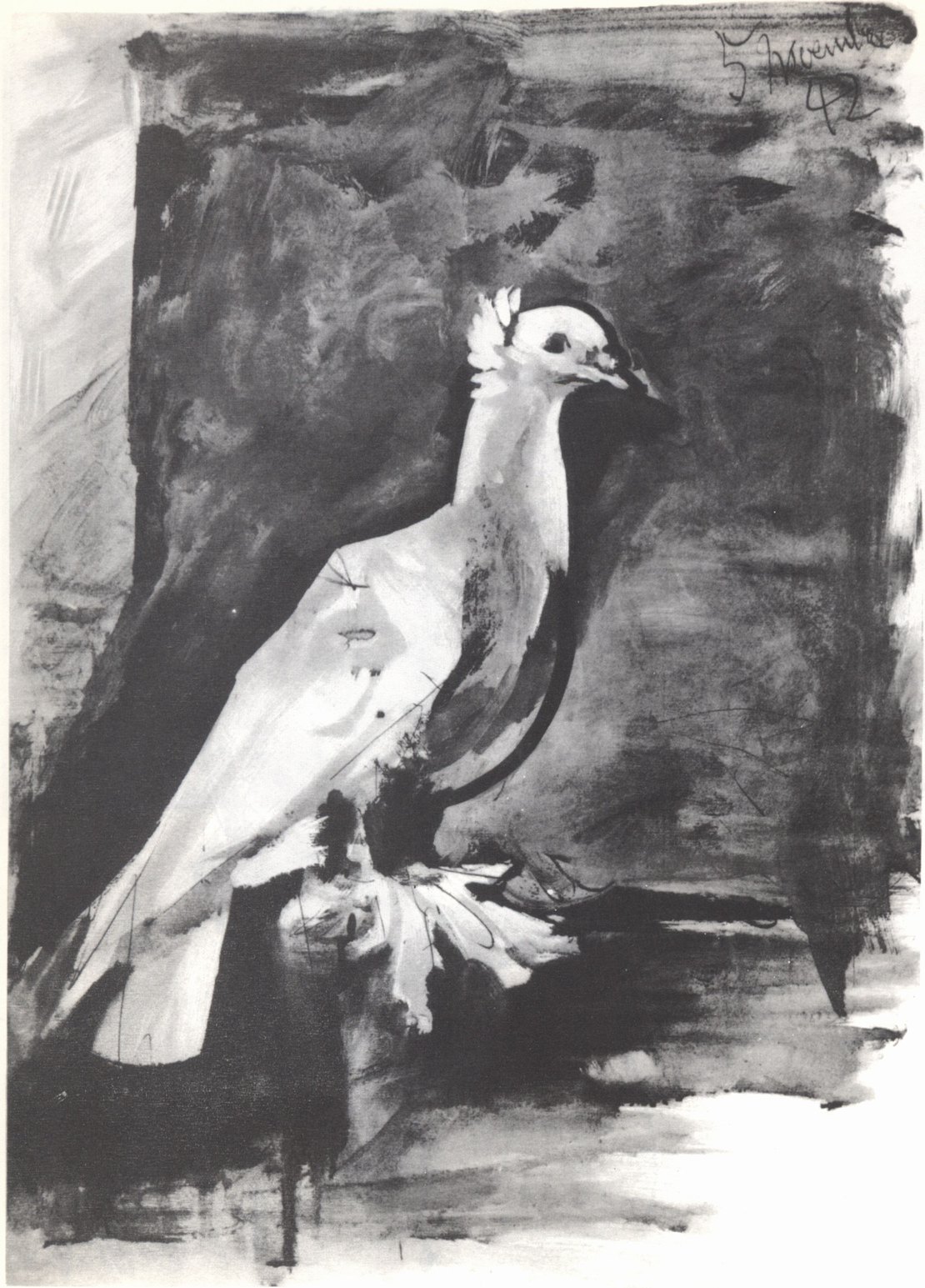 61. Голубь. 1942. Тушь. 64×46 61. Голубь. 1942. Тушь. 64×46