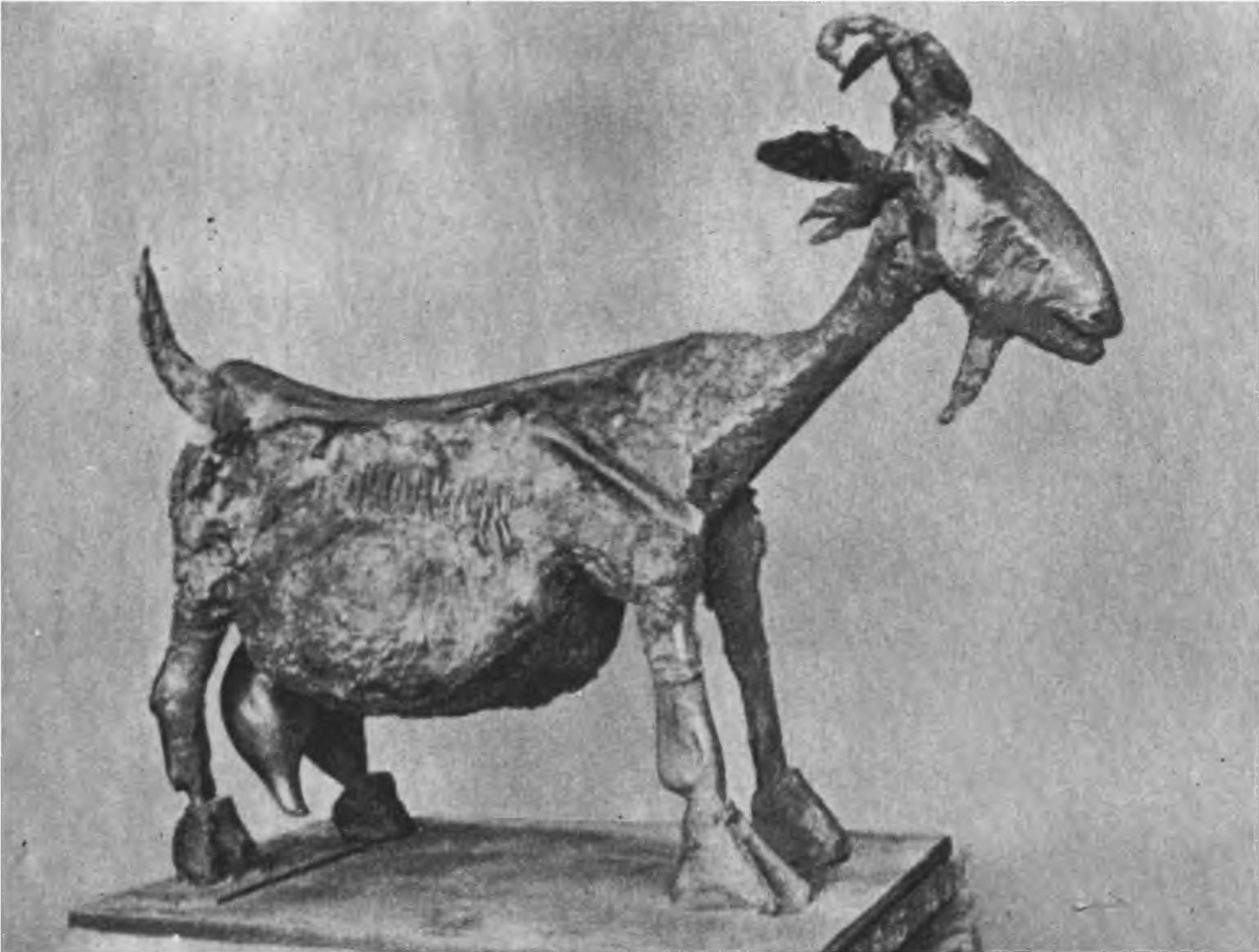 Коза. 1950 г. Коза. 1950 г.