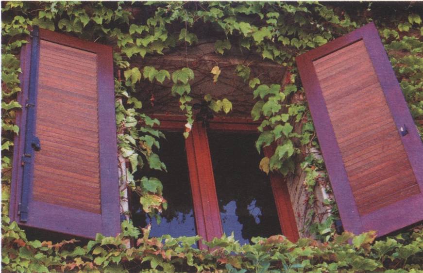 Эти окна видели Пикассо Эти окна видели Пикассо