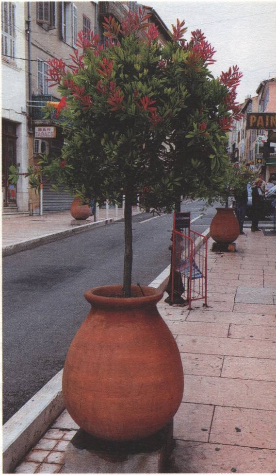 «Гончарная» улица Валлориса «Гончарная» улица Валлориса