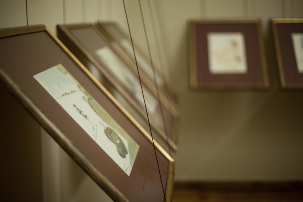 Малоизвестные работы Пикассо смогут увидеть жители Оренбурга Малоизвестные работы Пикассо смогут увидеть жители Оренбурга