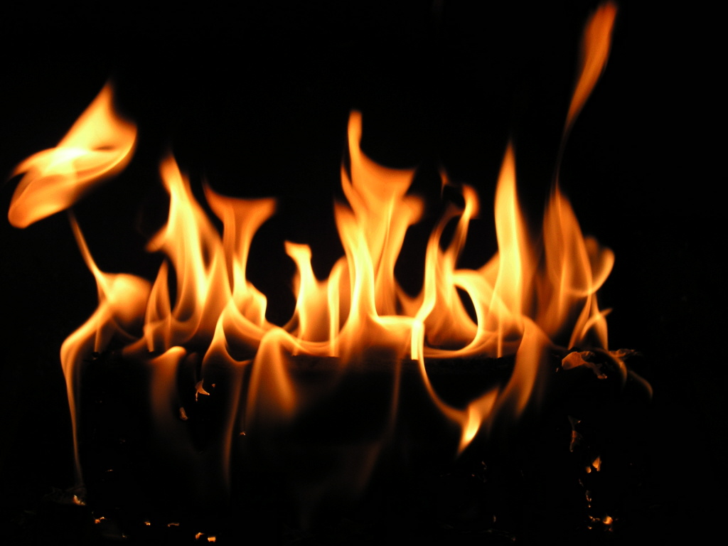 Художественные шедевры из Роттердамского музея скорее всего сожжены Художественные шедевры из Роттердамского музея скорее всего сожжены