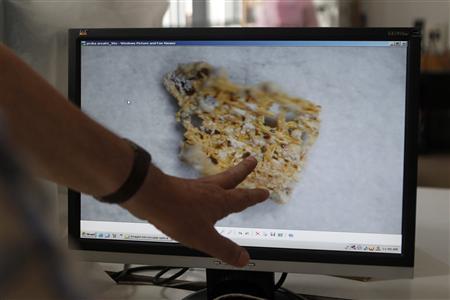 Румынские эксперты официально заявили о сожжении как минимум трех полотен из музея Kunsthal Румынские эксперты официально заявили о сожжении как минимум трех полотен из музея Kunsthal