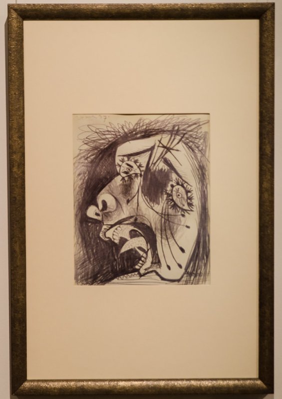 Параграфы Пикассо в Кирове Параграфы Пикассо в Кирове