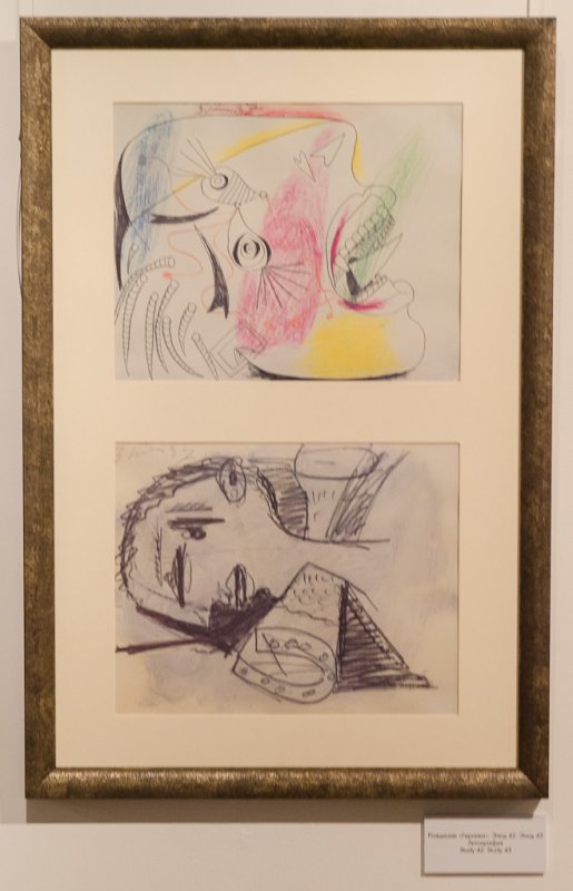 Параграфы Пикассо в Кирове Параграфы Пикассо в Кирове