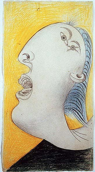 Параграфы Пикассо в Кирове Параграфы Пикассо в Кирове