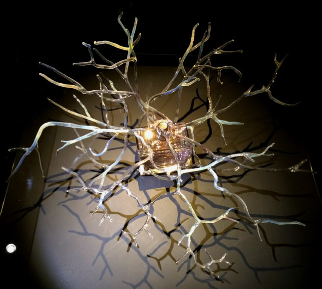 Miss Dior: На грани красоты и искусства Miss Dior: На грани красоты и искусства