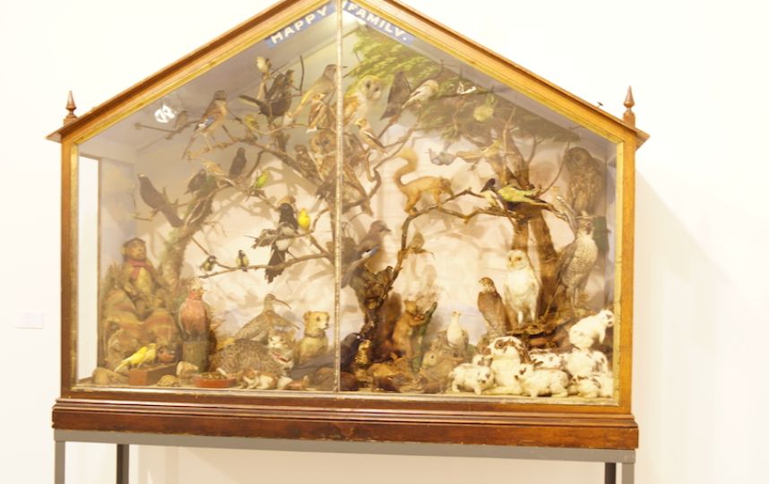 В МАММ выставили Пикассо, Бэнкси и Джакометти из коллекции Дэмиена Херста В МАММ выставили Пикассо, Бэнкси и Джакометти из коллекции Дэмиена Херста