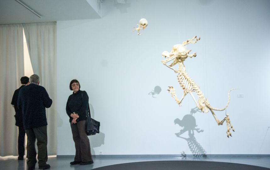 В МАММ выставили Пикассо, Бэнкси и Джакометти из коллекции Дэмиена Херста В МАММ выставили Пикассо, Бэнкси и Джакометти из коллекции Дэмиена Херста