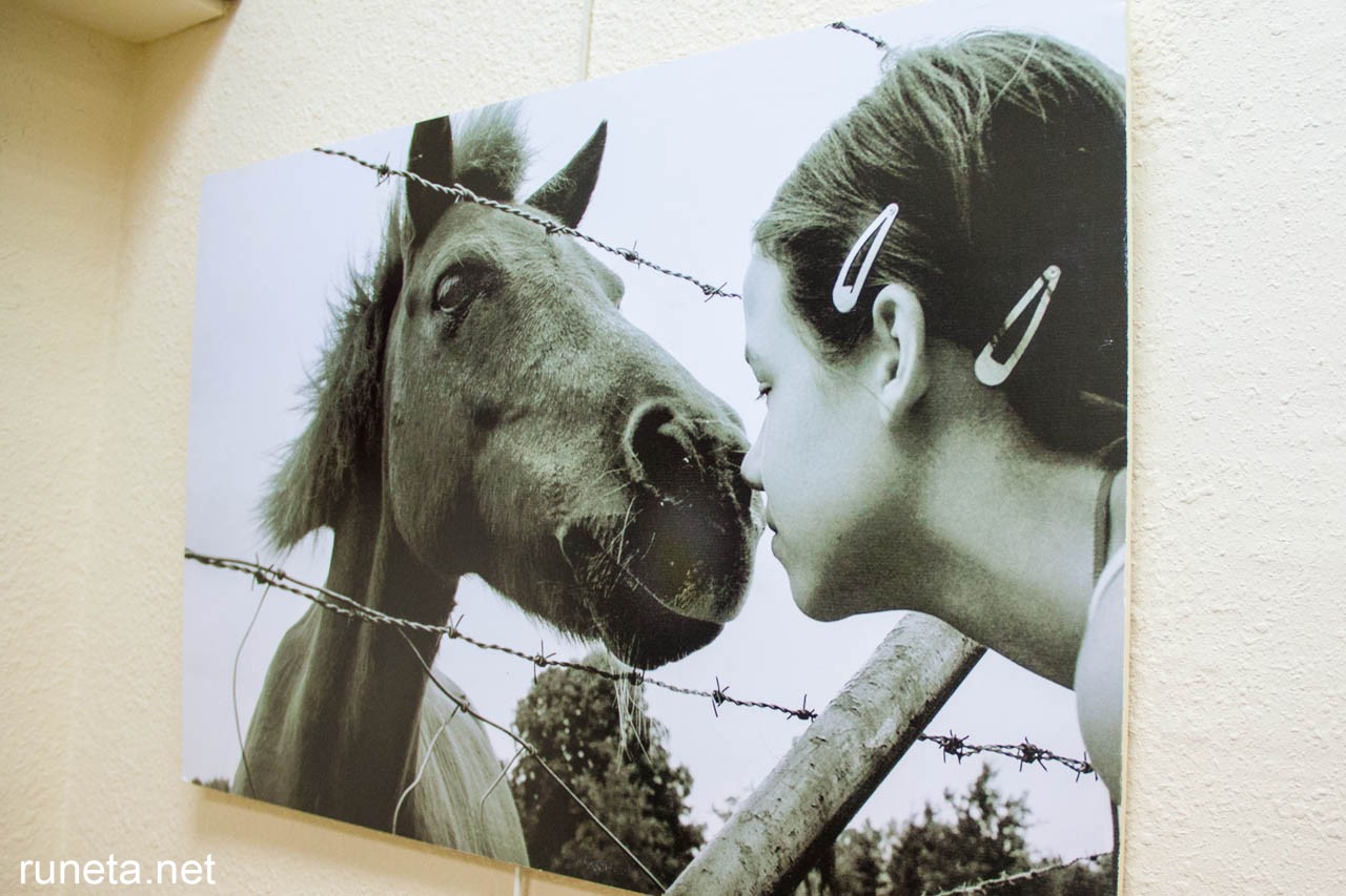 Все начинается с поцелуя Все начинается с поцелуя