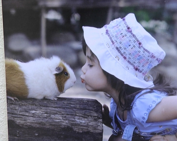 Все начинается с поцелуя Все начинается с поцелуя