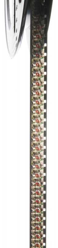 В Барселоне пустят с молотка рисунки Пикассо и Дали В Барселоне пустят с молотка рисунки Пикассо и Дали