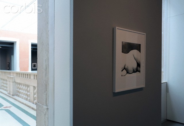 В Венеции открылась выставка Ирвина Пенна В Венеции открылась выставка Ирвина Пенна