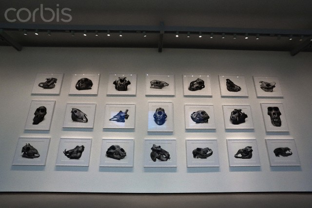 В Венеции открылась выставка Ирвина Пенна В Венеции открылась выставка Ирвина Пенна