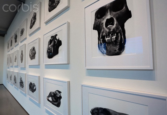 В Венеции открылась выставка Ирвина Пенна В Венеции открылась выставка Ирвина Пенна