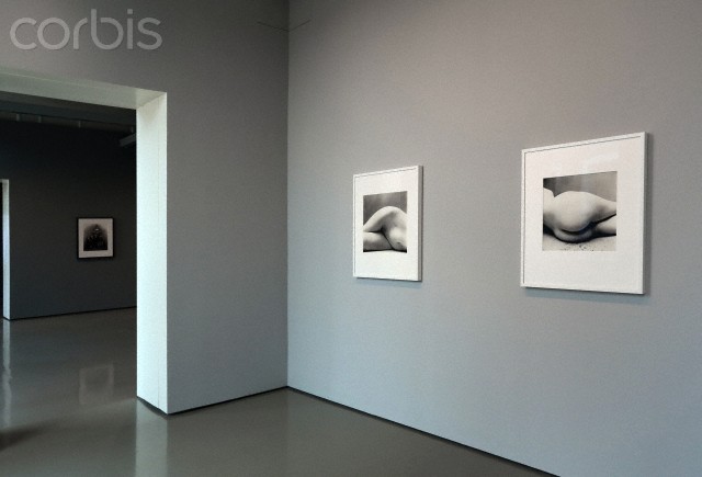 В Венеции открылась выставка Ирвина Пенна В Венеции открылась выставка Ирвина Пенна