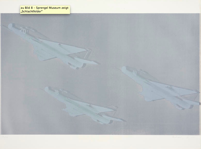 В музее Ганновера откроется выставка «Поле боя» В музее Ганновера откроется выставка «Поле боя»