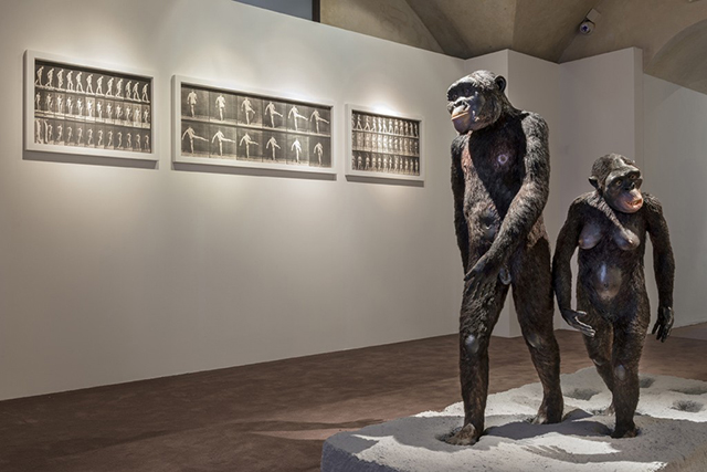 Музей Salvatore Ferragamo приглашает на выставку «Равновесие» Музей Salvatore Ferragamo приглашает на выставку «Равновесие»