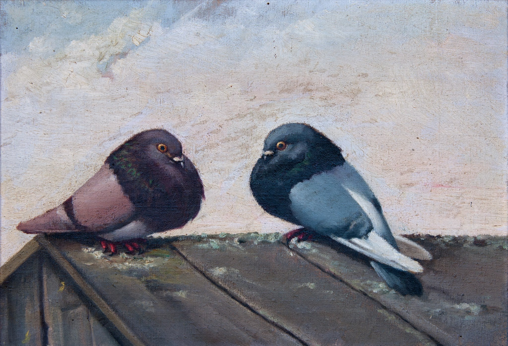 Миллионы голубей в доме-музее Пабло Пикассо Миллионы голубей в доме-музее Пабло Пикассо