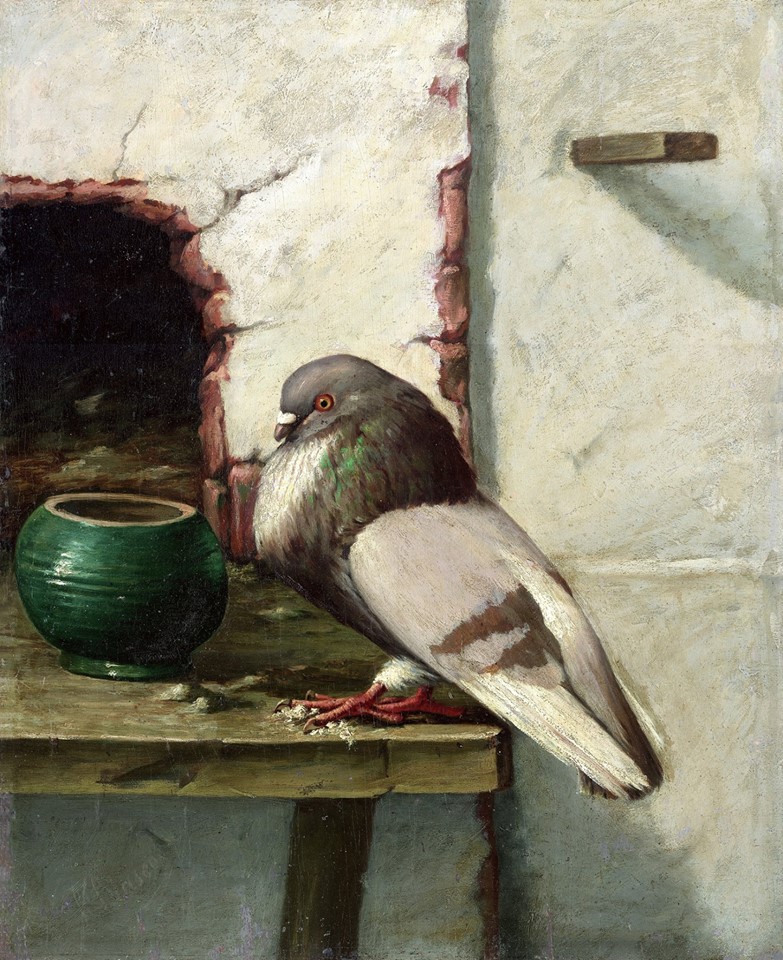 Миллионы голубей в доме-музее Пабло Пикассо Миллионы голубей в доме-музее Пабло Пикассо