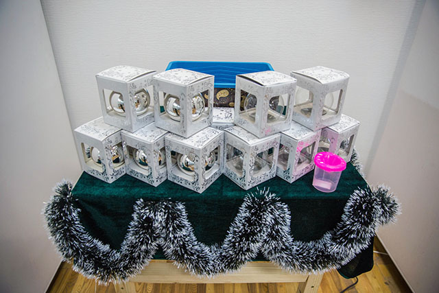 История новогодних украшений на выставке в Минске История новогодних украшений на выставке в Минске