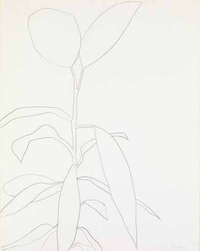 Датский музей «Луизиана» открыл выставку в честь принятой коллекции Селии Эшер Датский музей «Луизиана» открыл выставку в честь принятой коллекции Селии Эшер