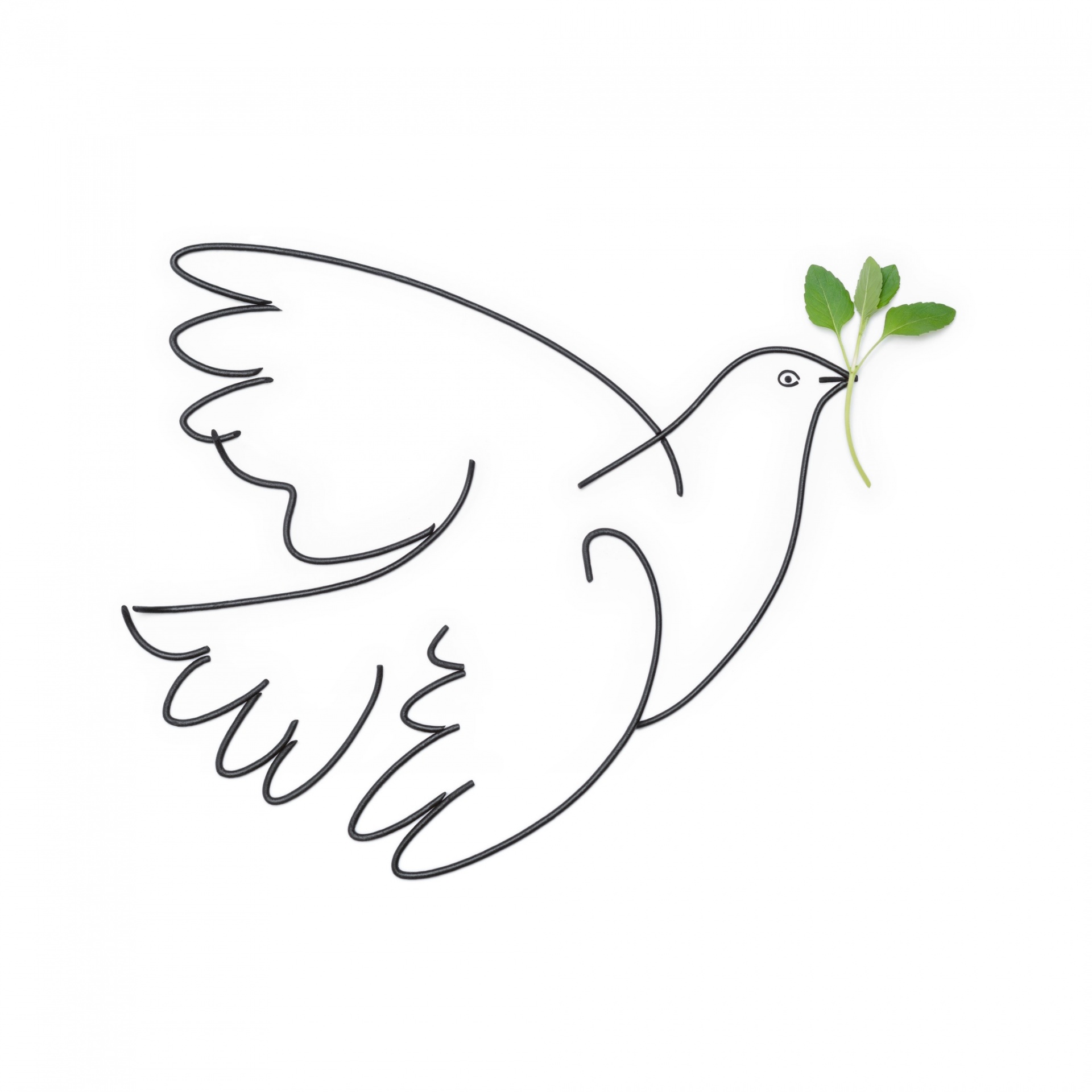 Фуд-картины Татьяны Шкондиной Фуд-картины Татьяны Шкондиной