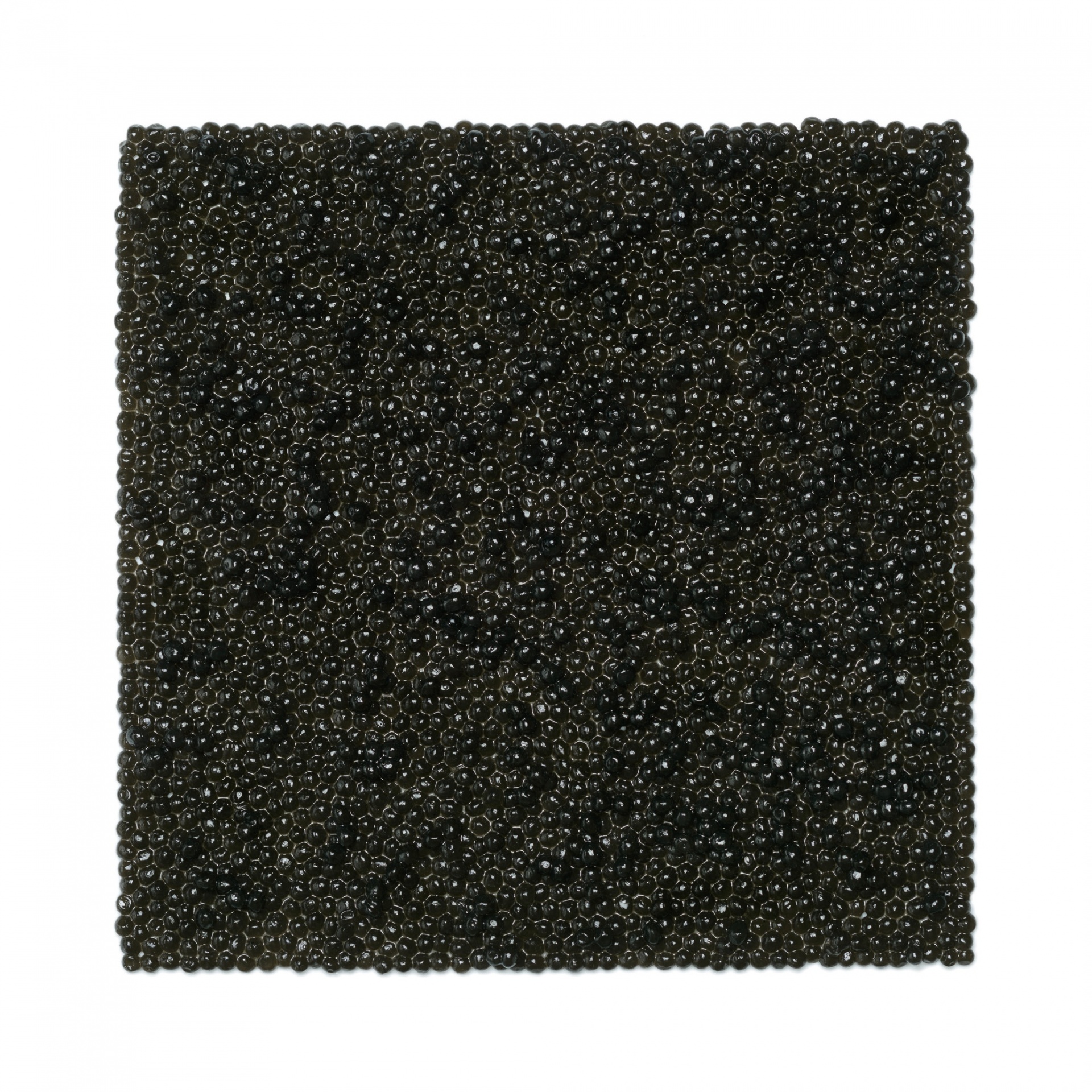 Фуд-картины Татьяны Шкондиной Фуд-картины Татьяны Шкондиной