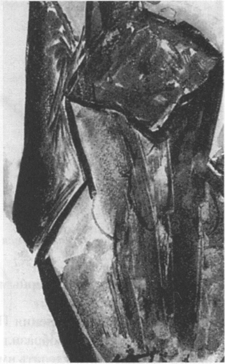 Без названия. 1907. Акварель, 9x7 Без названия. 1907. Акварель, 9x7